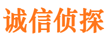 河源侦探公司